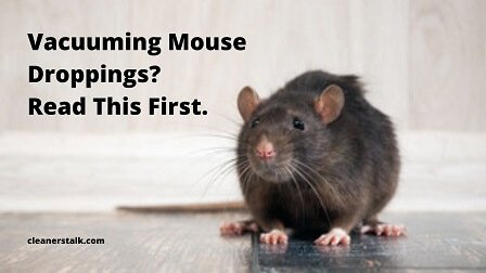 Is It Safe To Vacuum Rat And Mouse Droppings Cleanerstalk.com  