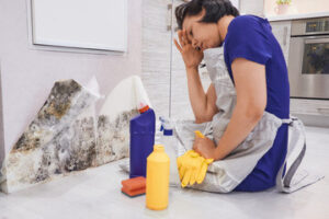 Does Steam Cleaning Kill Mold? (Read This First)