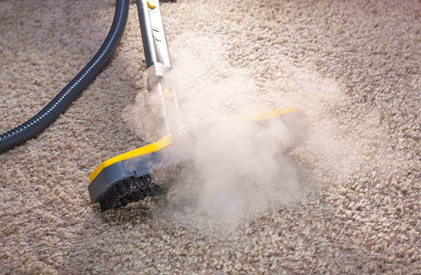 steam-cleaning-carpets-8-answers-you-should-know-cleaners-talk